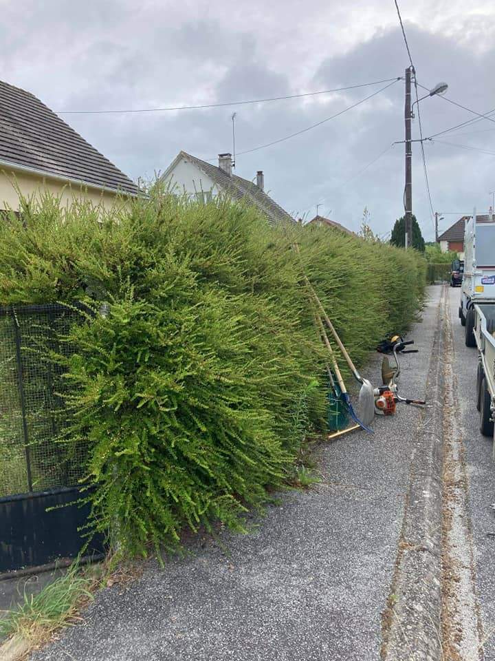 Travaux de jardinage pour faciliter votre quotidien 