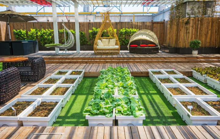 Conception de jardin 3D, L'aigle