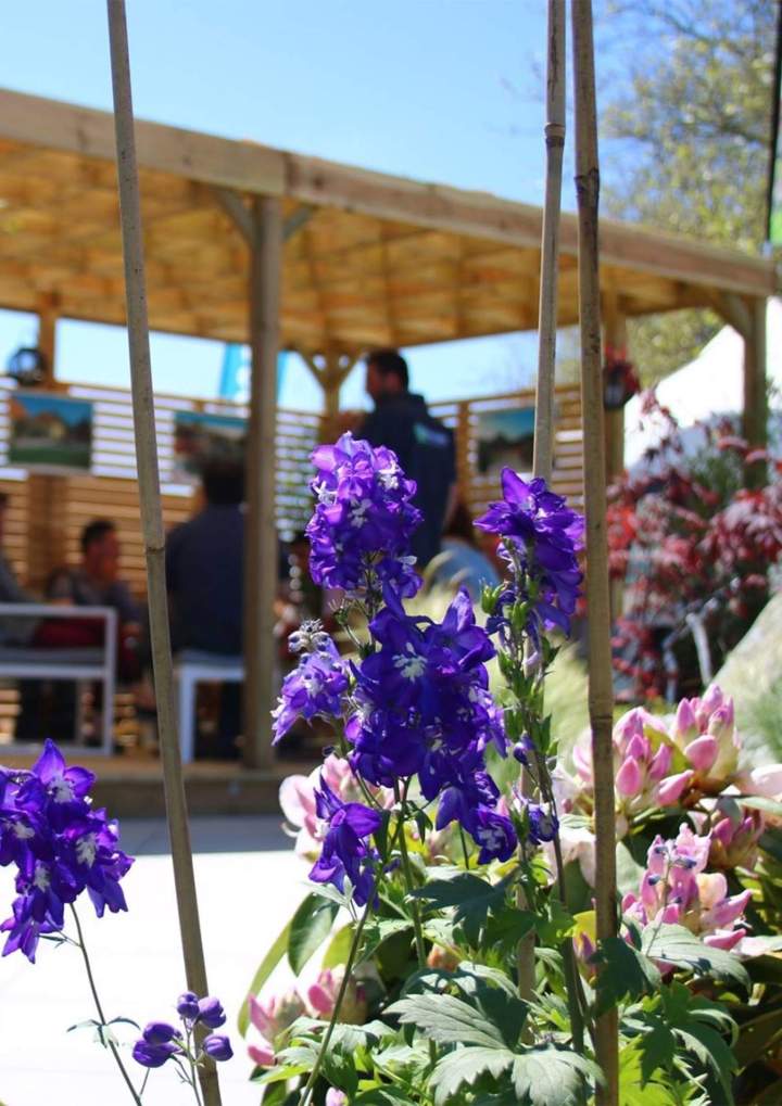 Plantation fleurs Orne