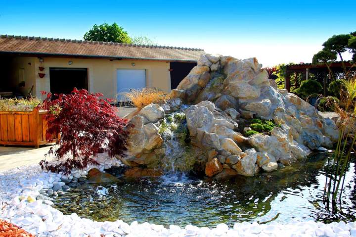 Création bassin de jardin Orne