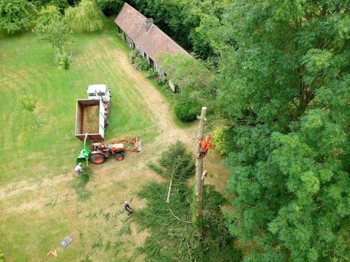 Élagage d'arbre Orne