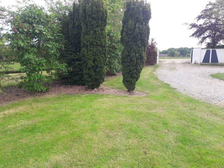 Plantation arbuste Orne