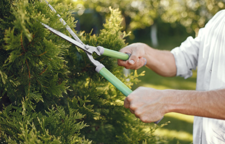 Service à la personne paysagiste, Sées