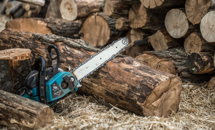 Abattage d'arbre, L'aigle