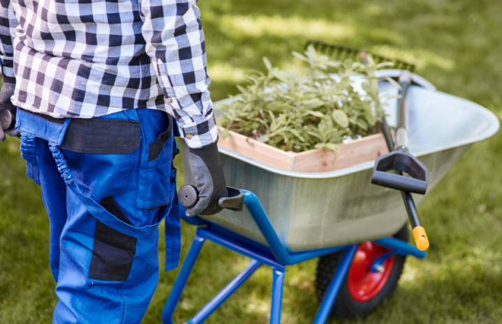 Entretien de jardin, L'aigle