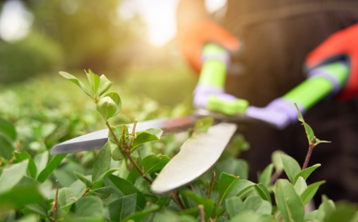 Paysagiste, Bellême