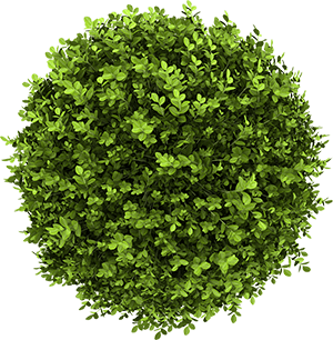 Abattage/Elagage L'Aigle